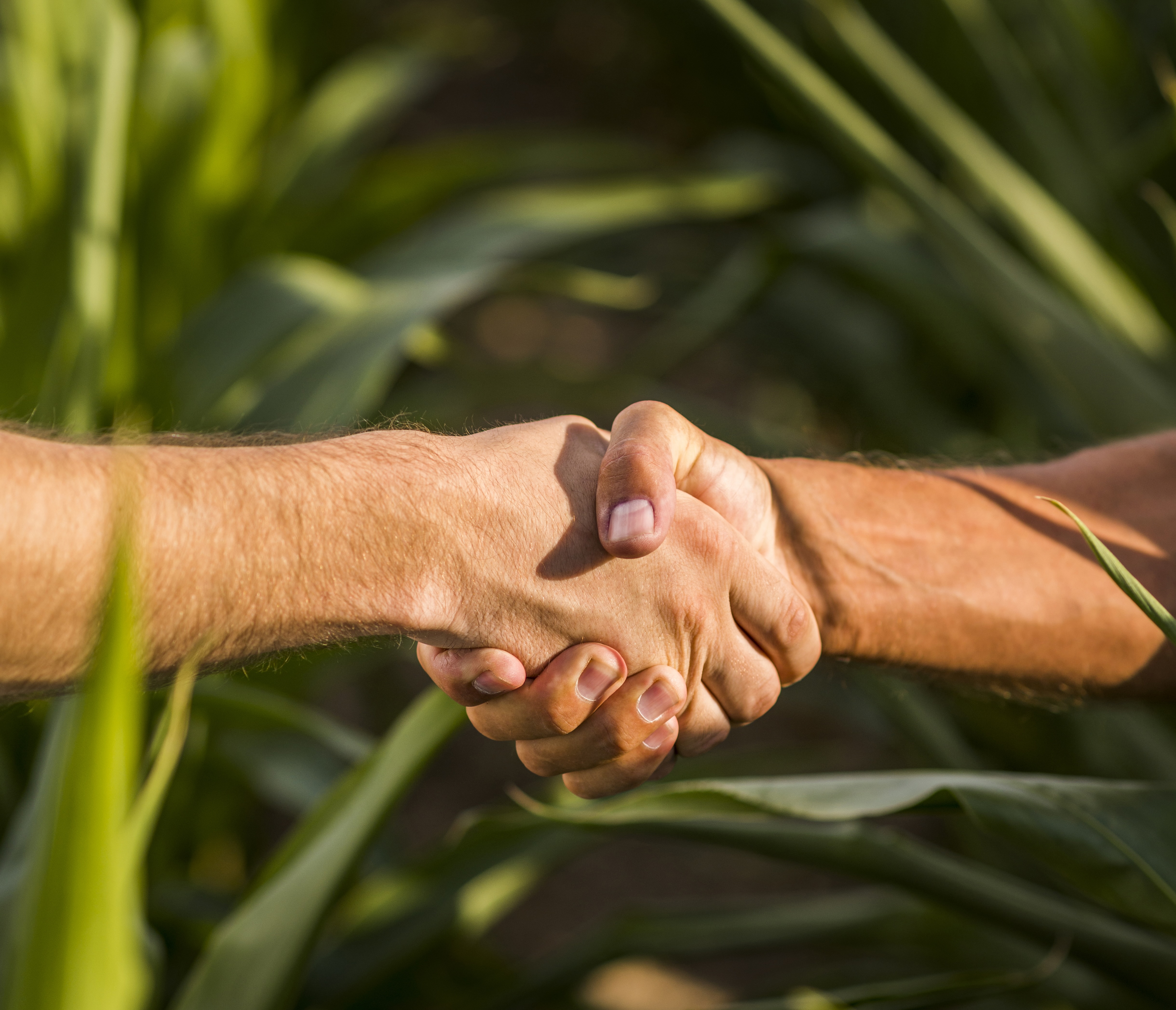 Confianza y colaboración